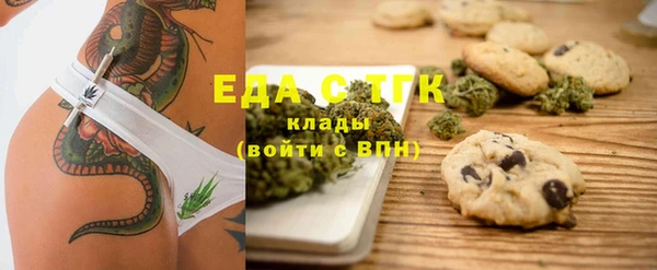 хмурый Алексин