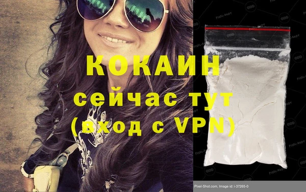 стаф Аркадак