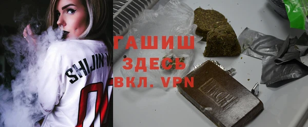 хмурый Алексин