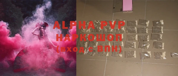 хмурый Алексин