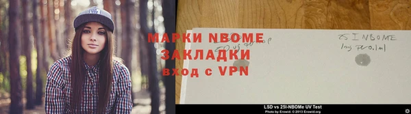 хмурый Алексин