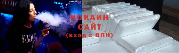 хмурый Алексин