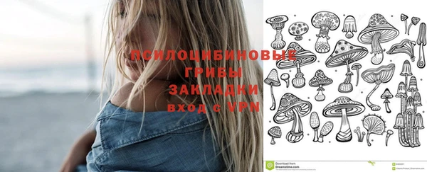 хмурый Алексин